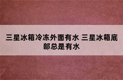 三星冰箱冷冻外面有水 三星冰箱底部总是有水